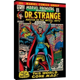 Posters Obraz na plátně Marvel Comics - Dr Strange - World Gone Mad, (60 x 80 cm)
