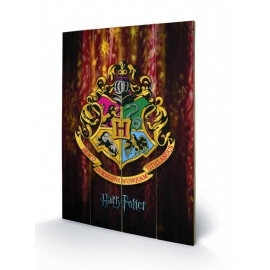 Posters Dřevěný obraz Harry Potter - Bradavice, (40 x 59 cm)
