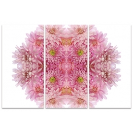 Posters Obraz na plátně Alyson Fennell - Pink Chrysanthemum Explosion, (100 x 150 cm)