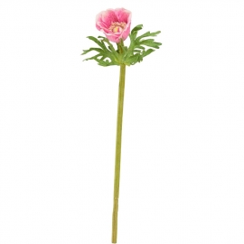 FLORISTA Sasanka, 36 cm - zelená