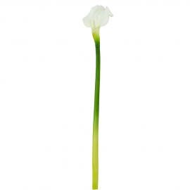 FLORISTA Kala, 55 cm - krémová