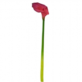 FLORISTA Kala, 55 cm - růžová
