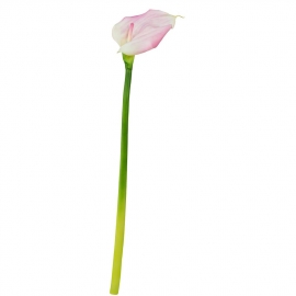 FLORISTA Kala, 55 cm - fialová