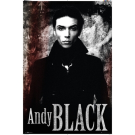 Posters Plakát, Obraz - Andy Black - Stone, (61 x 91,5 cm)