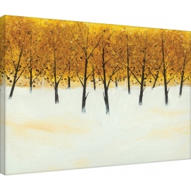 Posters Obraz na plátně Stuart Roy - Yellow Trees on White, (80 x 60 cm)