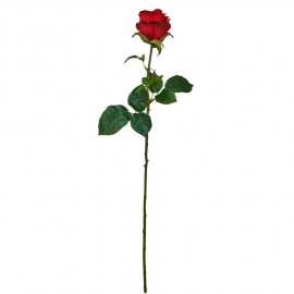FLORISTA Růže 68 cm - červená