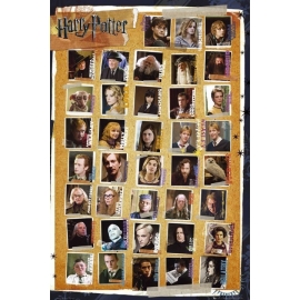 Posters Plakát, Obraz - HARRY POTTER 7 - characters, (61 x 91,5 cm)