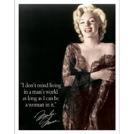Posters Plechová cedule Marilyn - Man's World, (31,8 x 40,6 cm)