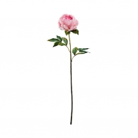 FLORISTA Pivoňka 75 cm - sv. růžová