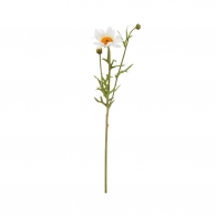 FLORISTA Sedmikráska 56 cm - bílá