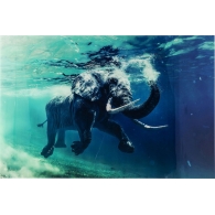 Obraz na skle Swimming Elephant 80X100cm