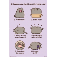 Posters Plakát, Obraz - Pusheen - Reasons to be a Cat, (61 x 91,5 cm)