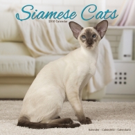 Posters Kalendář 2018 Kočky - Siamese