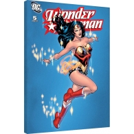 Posters Obraz na plátně DC Comics - Wonder Woman - Sparkle, (60 x 80 cm)