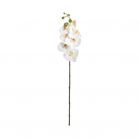 FLORISTA Větvička orchidej 70 cm - bílá