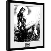 Posters Obraz na zeď - DC Comics - Cat Woman