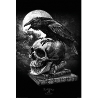 Posters Plakát, Obraz - Alchemy - Poe's Raven, (61 x 91,5 cm)