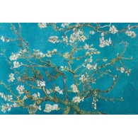 Posters Plakát, Obraz - Vincent van Gogh - Almond Blossom Aan Remy 1890, (91,5 x 61 cm)