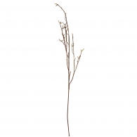 FLORISTA Větvička břízy 130 cm