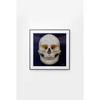 Picture 3D Skull 60x60cm