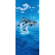 Posters Fototapeta THREE DOLPHINS - steve bloom