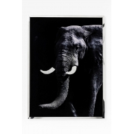 Wall Decoration Elephant Face 73x97cm