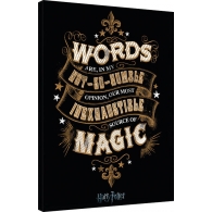 Posters Obraz na plátně Harry Potter - Words, (60 x 80 cm)