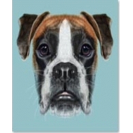 Obraz na skle Dog Face 60×60 cm