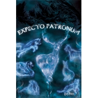 Posters Plakát, Obraz - Harry Potter - Patronus, (61 x 91,5 cm)