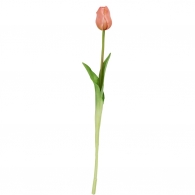 FLORISTA Tulipán 47 cm - broskvová