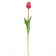 FLORISTA Tulipán 47 cm - růžová