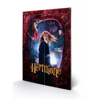 Posters Dřevěný obraz Harry Potter - Hermione, (40 x 59 cm)