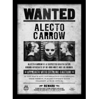 Posters Obraz na zeď - Harry Potter - Alecto Wanted