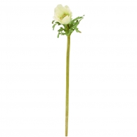 FLORISTA Sasanka, 36 cm - zelená