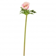 FLORISTA Sasanka, 36 cm - sv. růžová