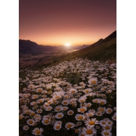 Posters Umělecké fotografie Closer to the sun, Sergio AbeVilla