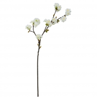 FLORISTA Větvička kvetoucí třešeň 15 cm - krémová