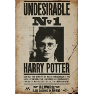 Posters Plakát, Obraz - HARRY POTTER - undersirable n2, (61 x 91,5 cm)
