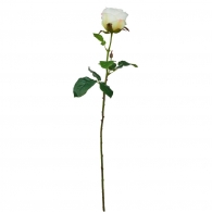 FLORISTA Růže 68 cm - krémová