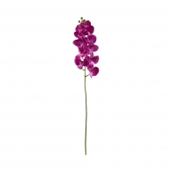 FLORISTA Orchidej - růžová