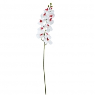 FLORISTA Orchidej - světle růžová