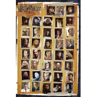 Posters Plakát, Obraz - HARRY POTTER 7 - characters, (61 x 91,5 cm)