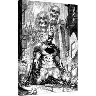 Posters Obraz na plátně DC Comics - Batman Haunted, (60 x 80 cm)