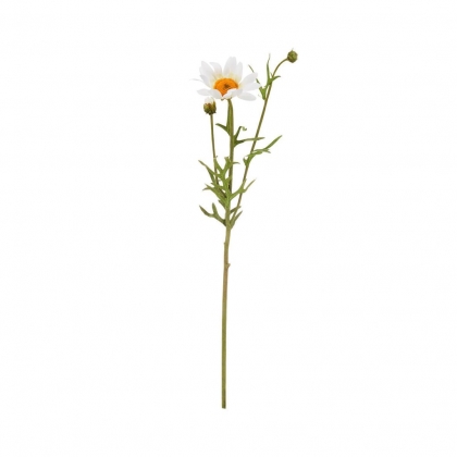 FLORISTA Sedmikráska 56 cm - bílá