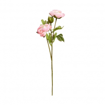 FLORISTA Pryskyřník malý 30 cm - sv. růžová