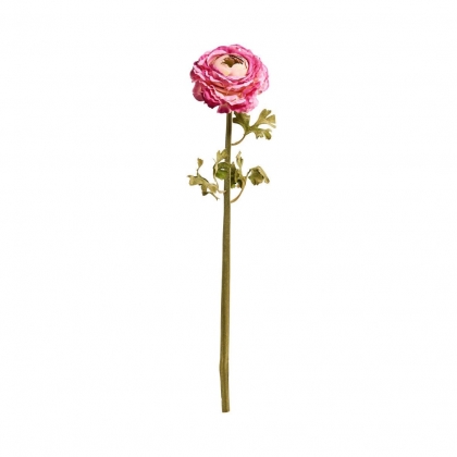 FLORISTA Pryskyřník 48 cm - růžová