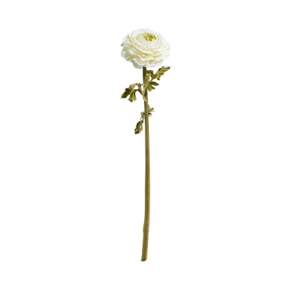 FLORISTA Pryskyřník 48 cm - krémová