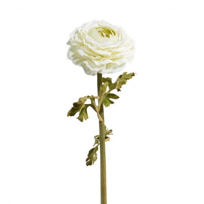 FLORISTA Pryskyřník 48 cm - krémová-2