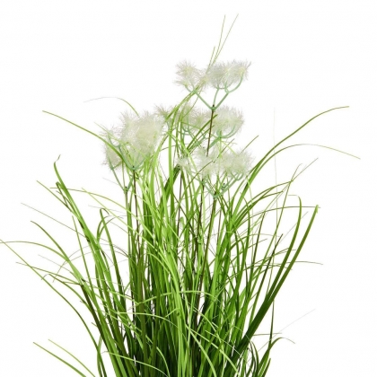 FLORISTA Svazek trávy v květináči 8 cm-2