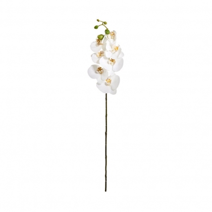 FLORISTA Větvička orchidej 70 cm - bílá